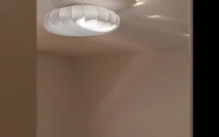 Franza Ø42 plafond