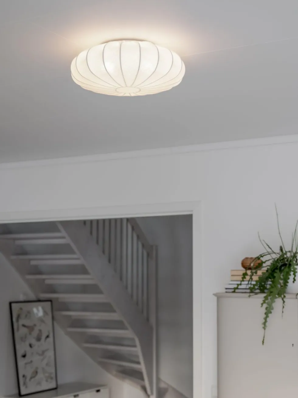 Franza Ø42 plafond