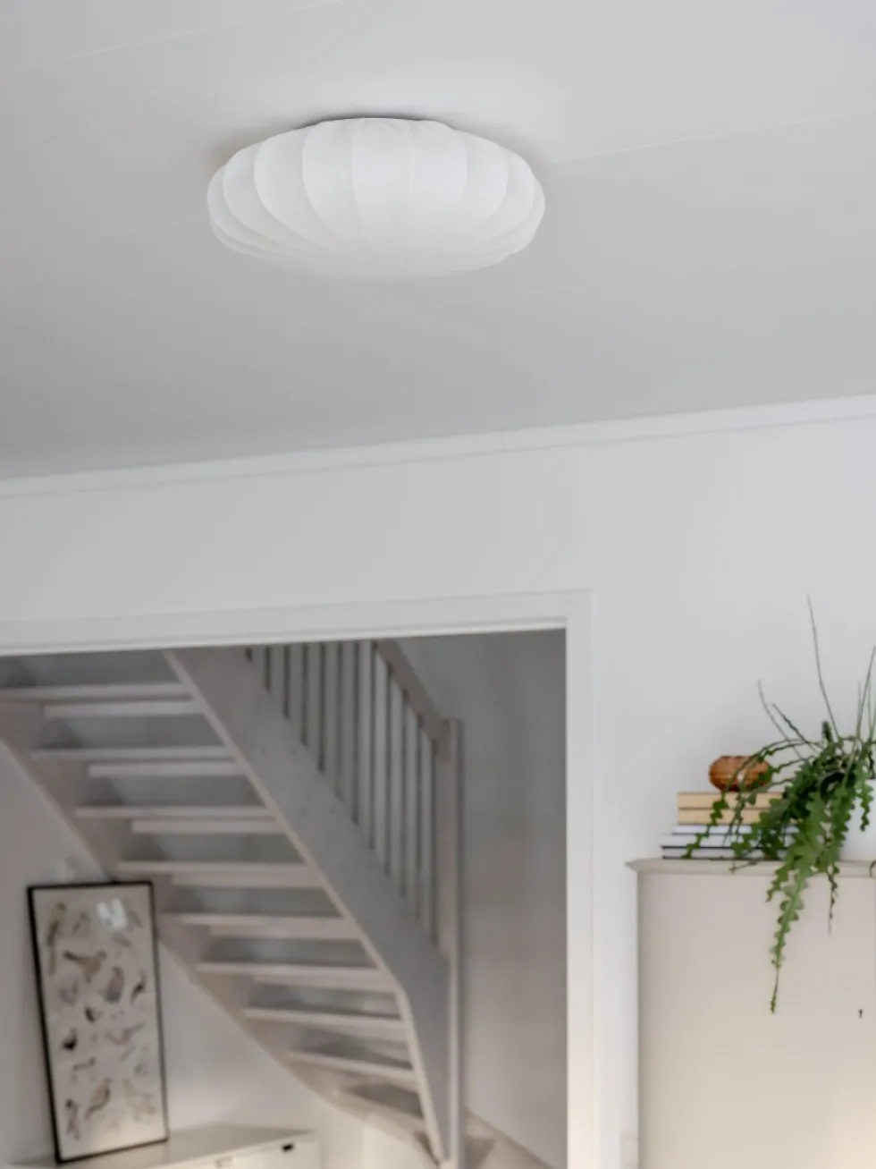 Franza Ø42 plafond