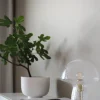 Fungo 30cm bordslampa