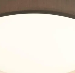 Gianna Ø50 plafond