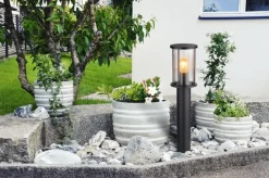 Gracey 60cm pollare