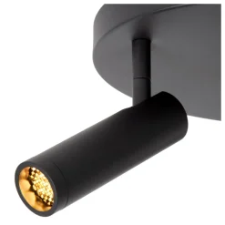 Grado 3 spotlight