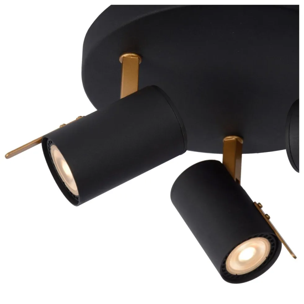Grony 3 spotlight