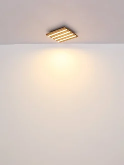 Hayden 30cm plafond