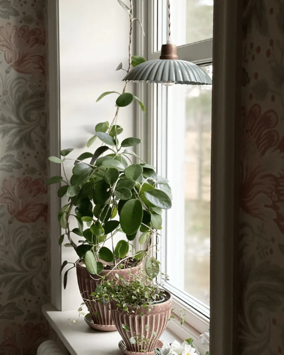 Ingrid Stor Ø24 fönsterlampa