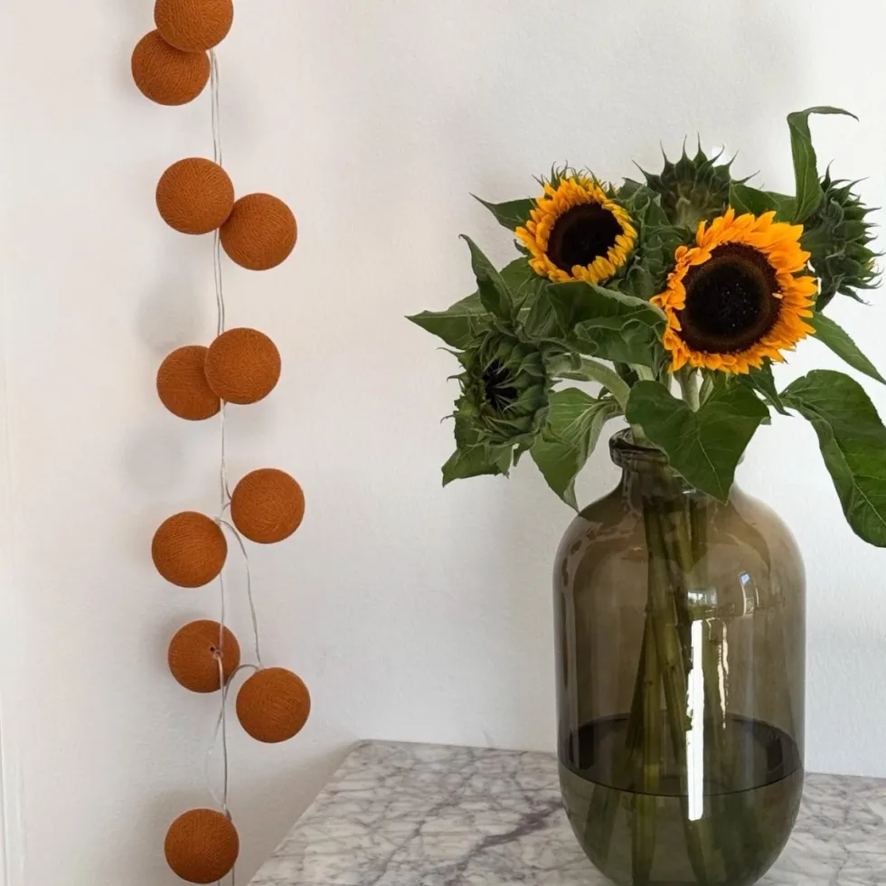 Irislights Terracotta 35 bollar