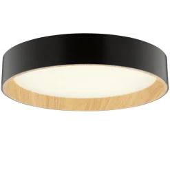 Larios Ø38 plafond