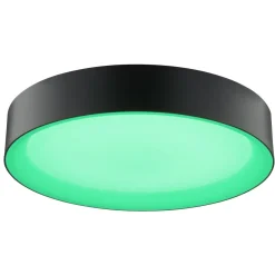Larios Ø40 plafond