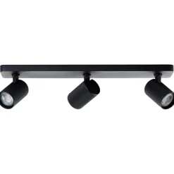 Marty 3 spotlight