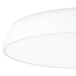 Mega Ø75 plafond