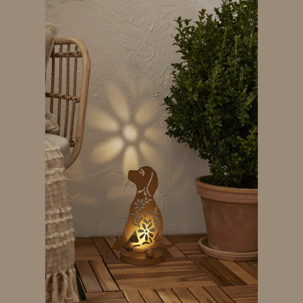Oxidog solcellslampa