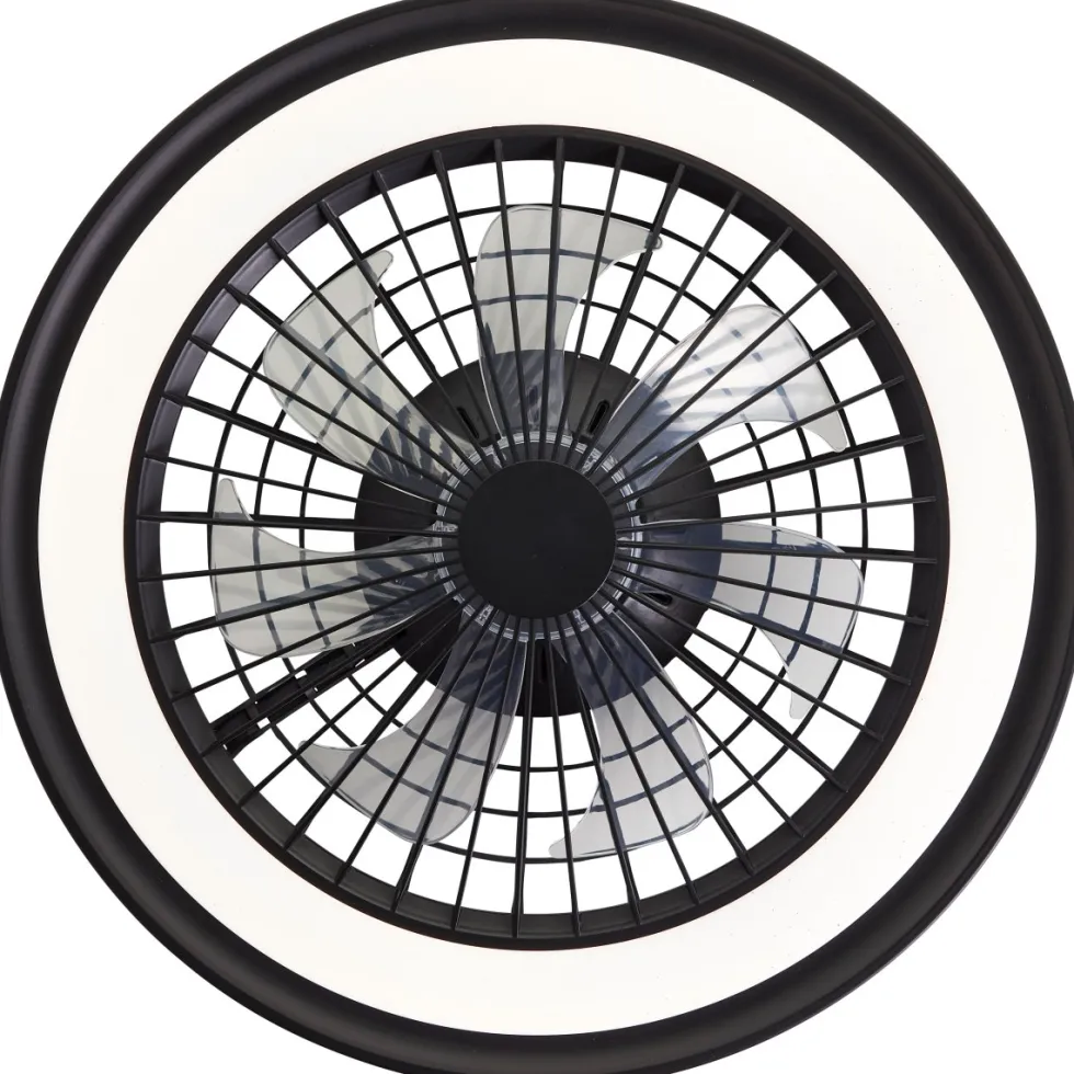 Palmero Ø47
