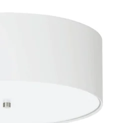Pasteri Ø47 plafond