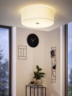 Pasteri Ø47 plafond