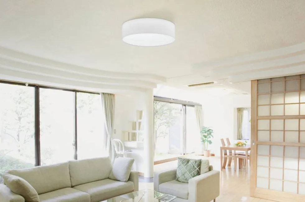 Pasteri Ø57 plafond