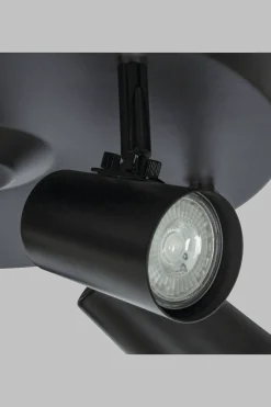 Pilot 5 spotlight