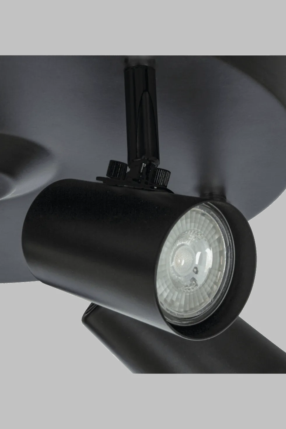 Pilot 5 spotlight