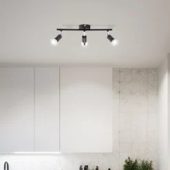 Prato 3 spotlight