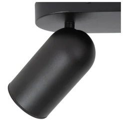 Punch 2 spotlight