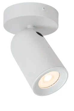 Punch spotlight