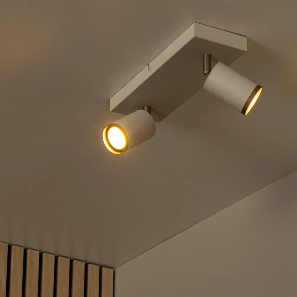 Regina 2 spotlight