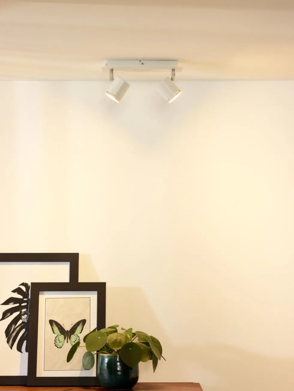Rilou 2 spotlight