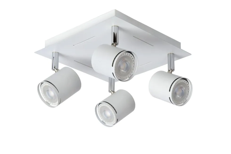 Rilou 4 spotlight