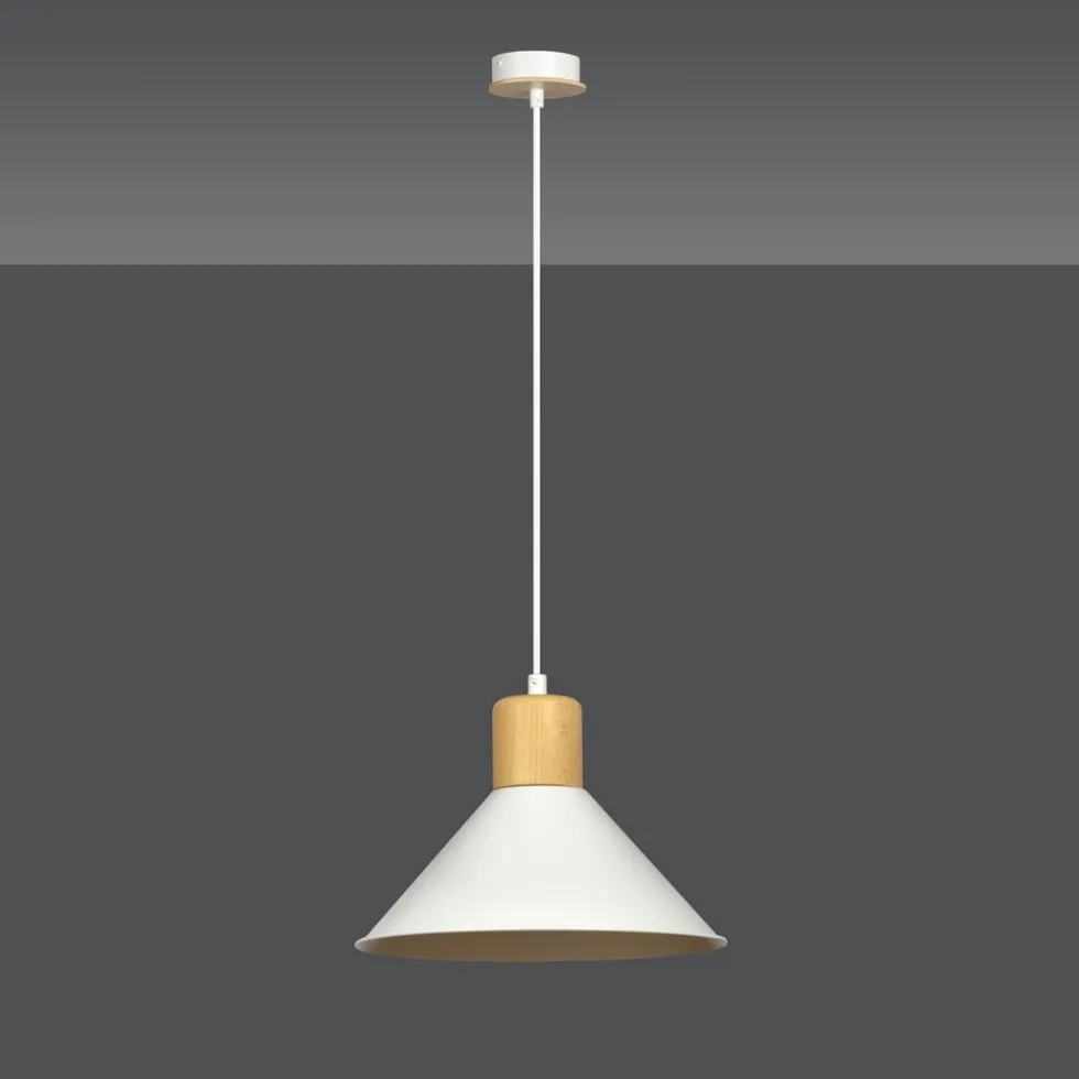 Rowen Ø25 taklampa