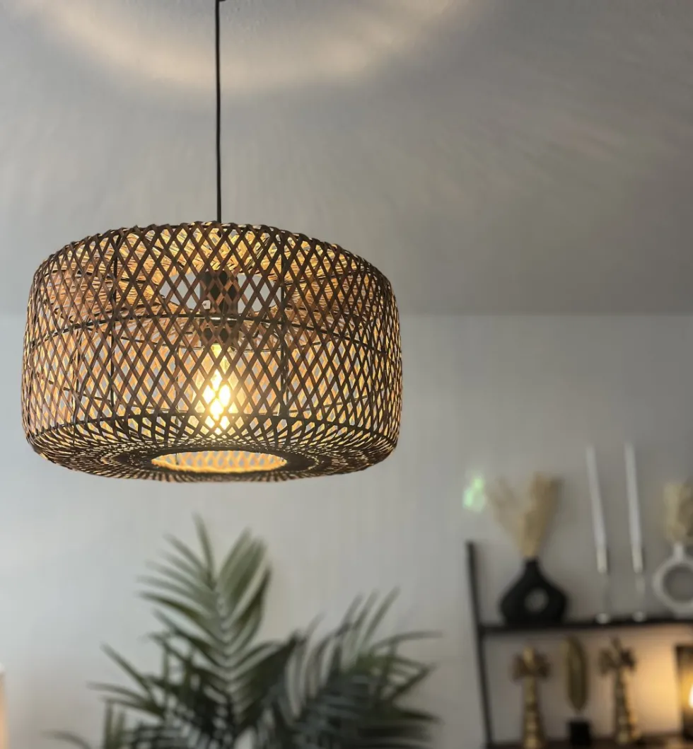 Savanna Ø40 taklampa