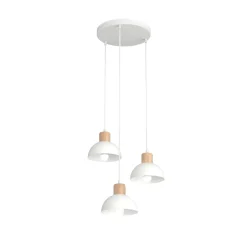 Seco Ø30 taklampa