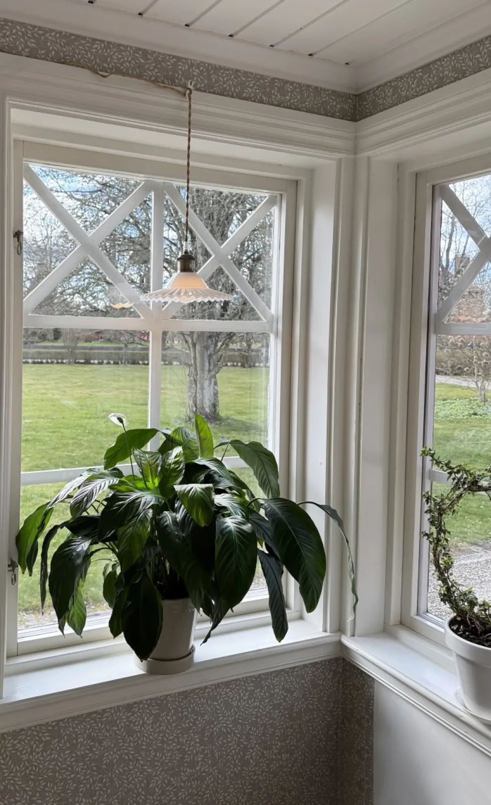Silvia Ø22 fönsterlampa