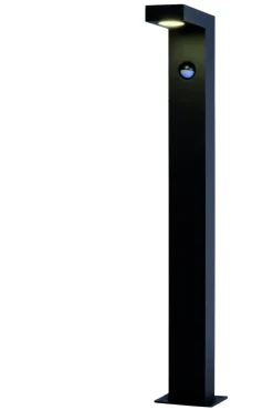 Texas-Ir 60cm pollare