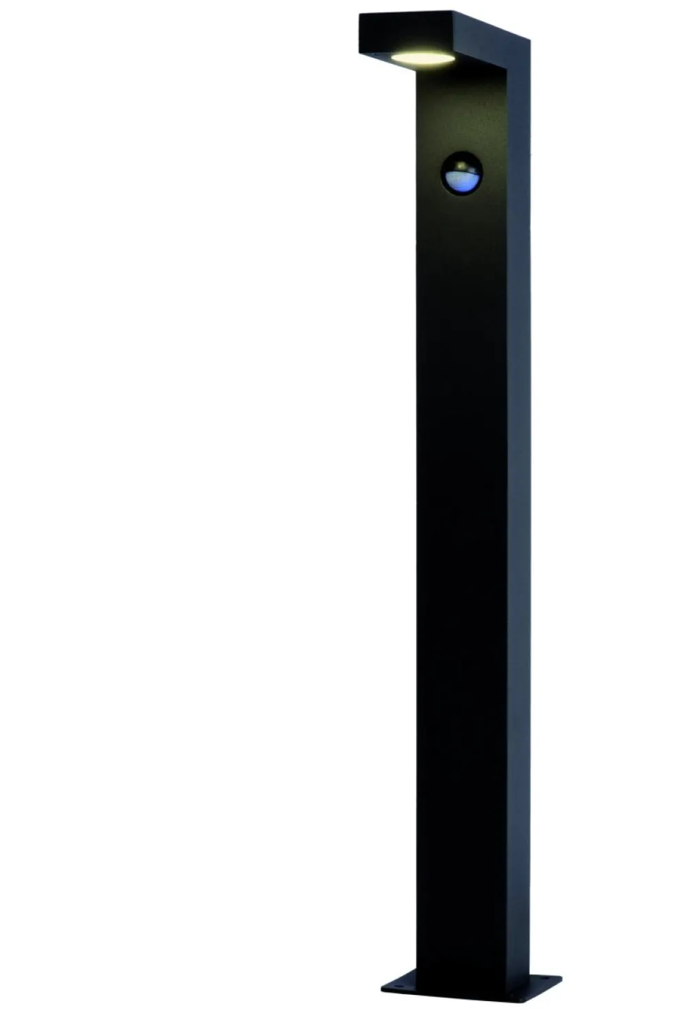 Texas-Ir 60cm pollare