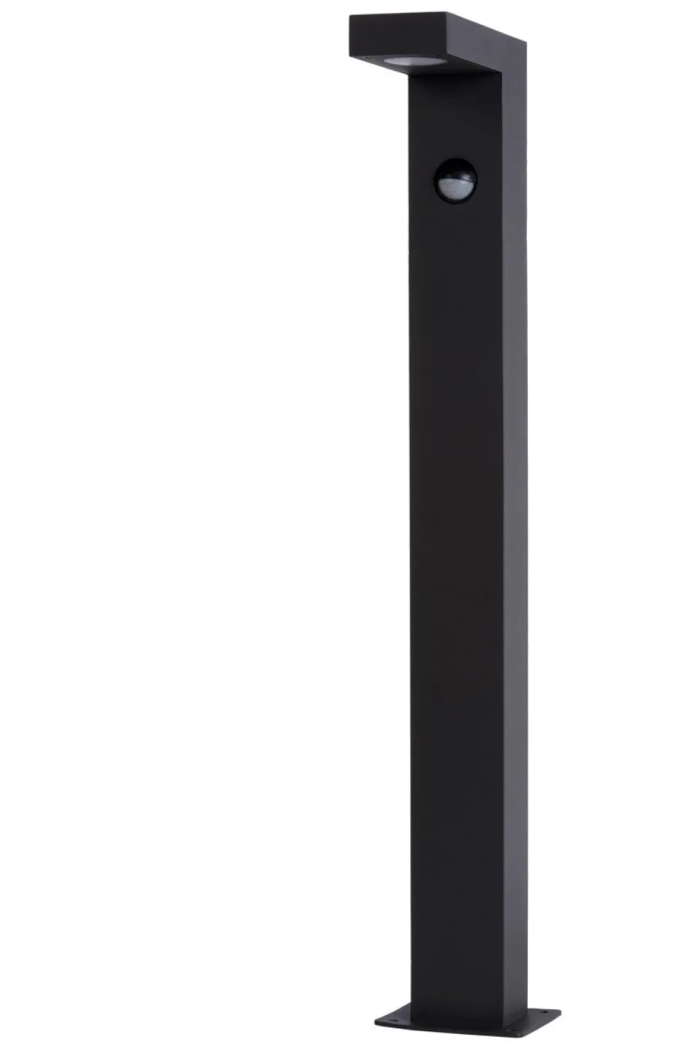 Texas-Ir 60cm pollare