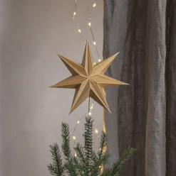 Toppstjärna Isa