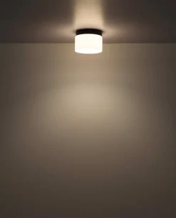 Trenton Ø20 plafond