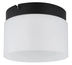 Trenton Ø20 plafond
