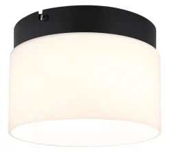 Trenton Ø20 plafond