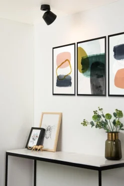 Trigono spotlight