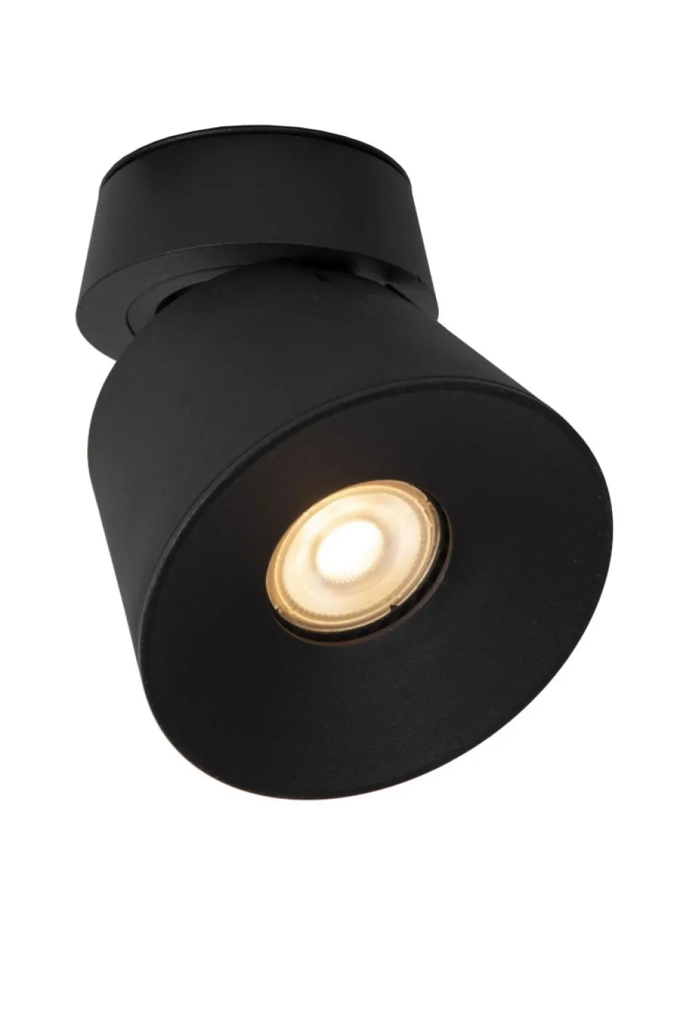 Trigono spotlight