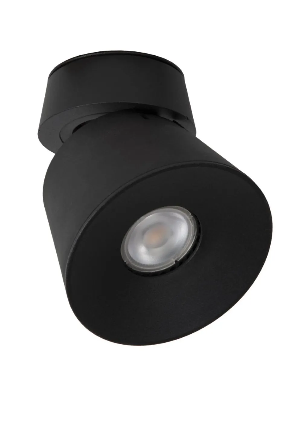 Trigono spotlight