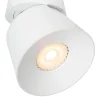 Trigono spotlight