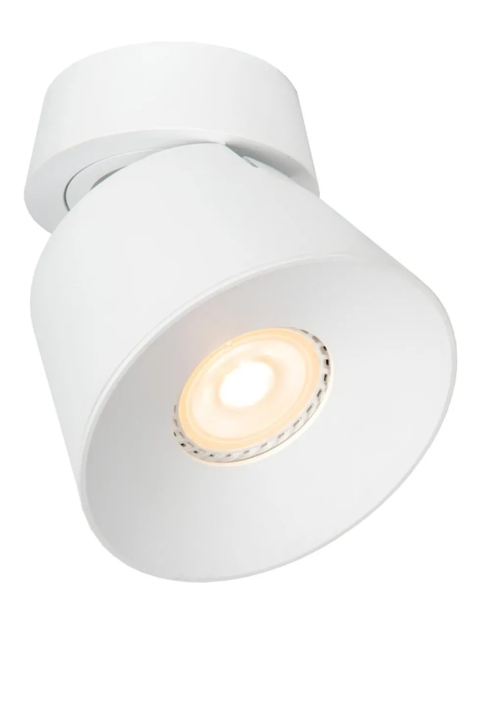 Trigono spotlight
