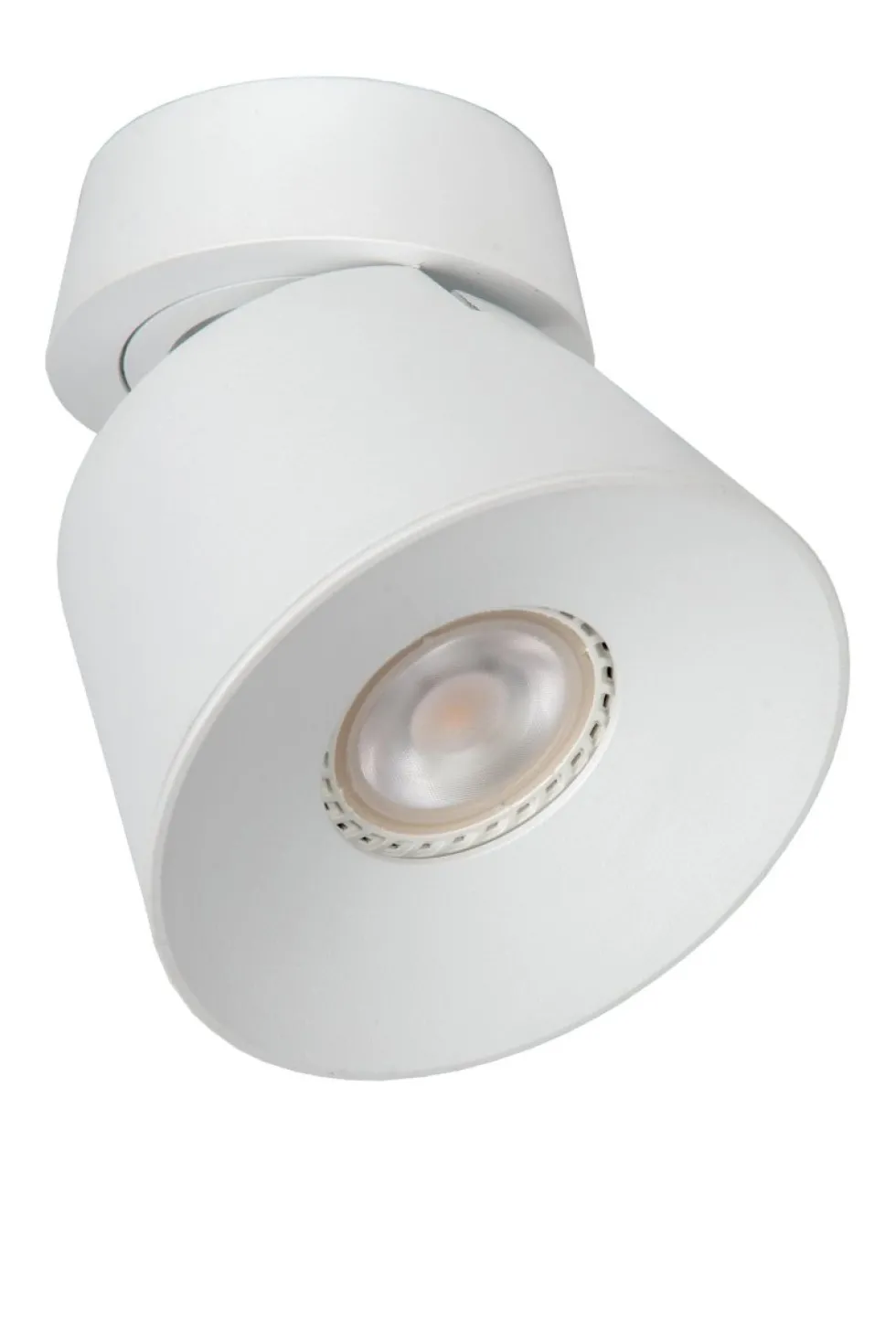 Trigono spotlight
