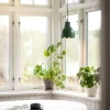 Tulippa Ø17 fönsterlampa