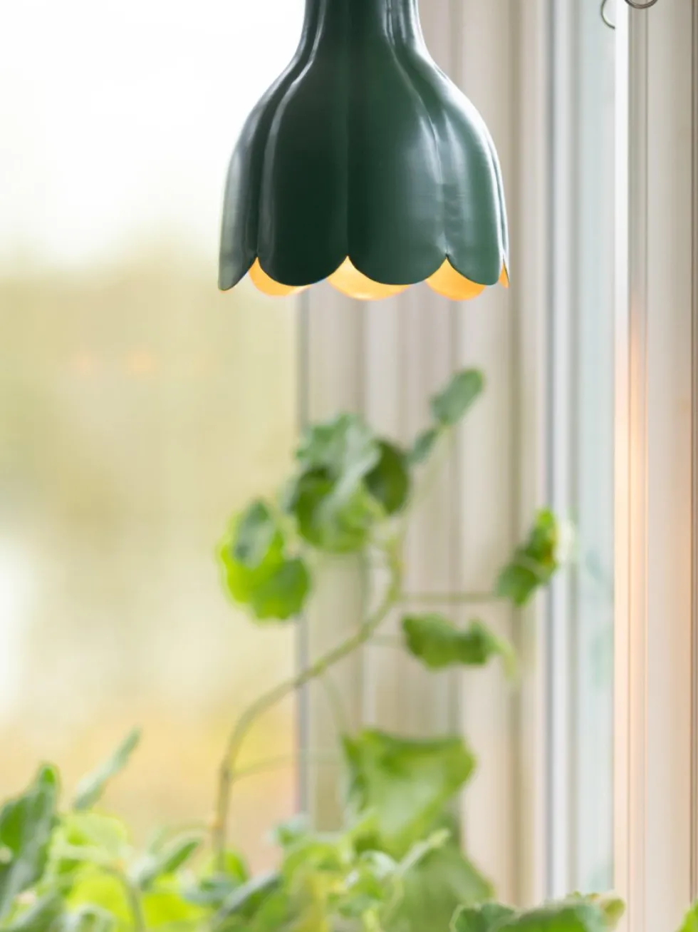 Tulippa Ø17 fönsterlampa
