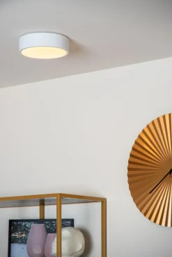 Unar Ø20 plafond