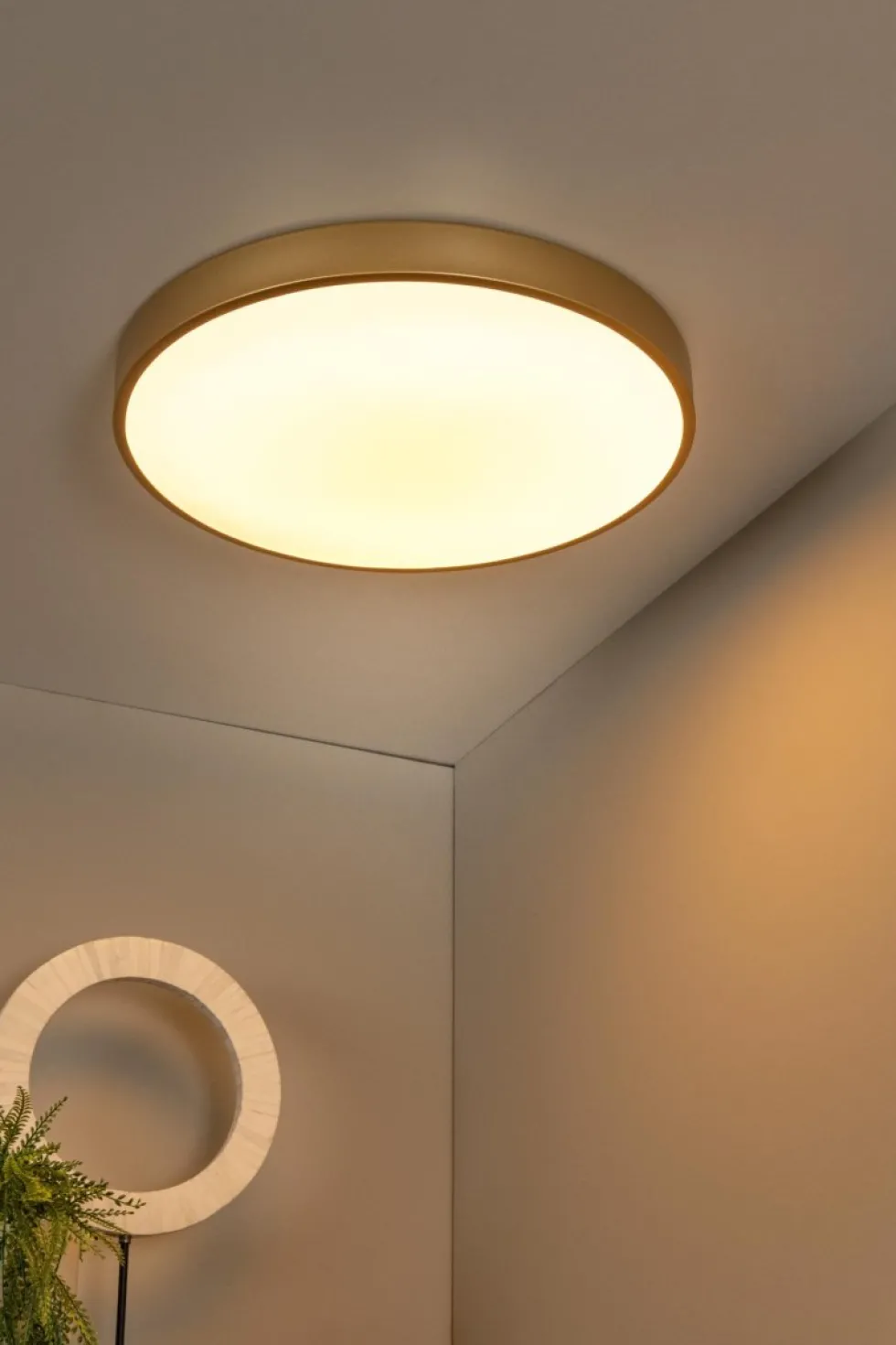 Unar Ø50 plafond