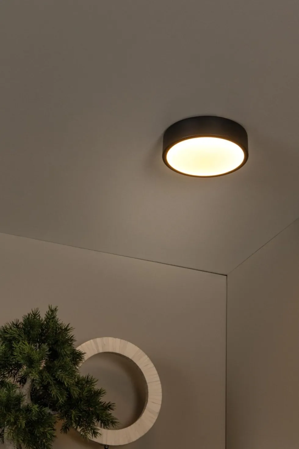 Unar Ø20 plafond